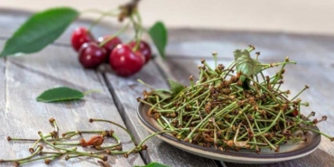 Kiraz-sapı-çayı-neye-iyi-gelir--Kiraz-sapının-içindeki-sırlarla-şifa-bulun!