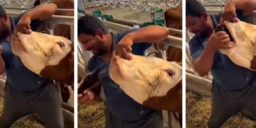 Kurban-bayramı-öncesi-skandal-görüntüler--Kurban-pazarındaki-hayvana-zorla-içki-içirdi