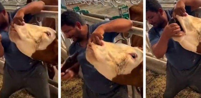 Kurban Bayramı öncesi skandal görüntüler: Kurban pazarındaki hayvana zorla içki içirdi