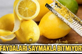 Limon kabuğunu sakın çöpe atmayın! Limon kabuğunun faydaları neler? Say say bitmiyor… 10 Limon-kabuğunu-sakın-çöpe-atmayın!-Limon-kabuğunun-faydaları-neler--Say-say-bitmiyor…