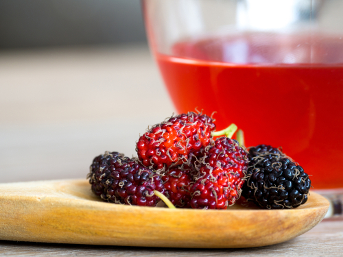 Mucize meyve karadutun sağlığınız için 9 önemli faydası! O hastalığa iyi geliyor…