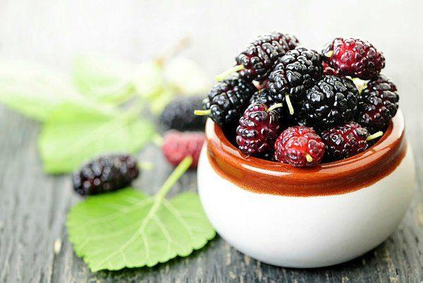 Mucize meyve karadutun sağlığınız için 9 önemli faydası! O hastalığa iyi geliyor…