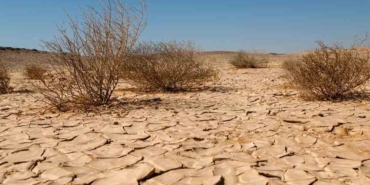 TEMA-Vakfı'ndan-korkutan-açıklama--Ülkemizin-yüzde-73,4'ü-çölleşme-tehlikesi-altında