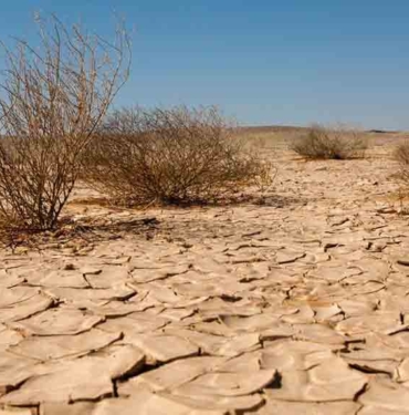 TEMA Vakfı'ndan korkutan açıklama: Ülkemizin yüzde 73,4'ü çölleşme tehlikesi altında 10 TEMA-Vakfı'ndan-korkutan-açıklama--Ülkemizin-yüzde-73,4'ü-çölleşme-tehlikesi-altında