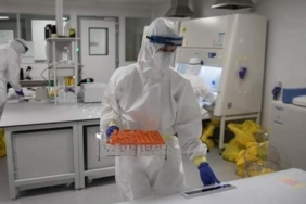 Temizlikçi-fişi-çekti,-20-yıllık-araştırma-çöp-oldu!