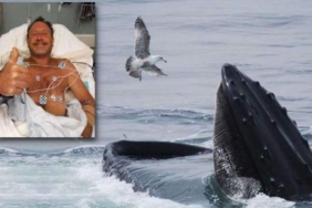 Balina-tarafından-yutulup-sonra-da-tükürülen-adam-yaşadıklarını-anlattı--Öleceğime-ikna-olmuştum