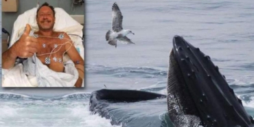 Balina-tarafından-yutulup-sonra-da-tükürülen-adam-yaşadıklarını-anlattı--Öleceğime-ikna-olmuştum