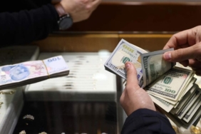 Döviz-mevduat-oranı-en-yüksek-il-Aksaray-