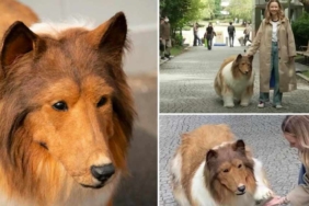 Köpek-gibi-görünmek-için-380-bin-lira-harcayan-Japon-sokağa-çıktı-