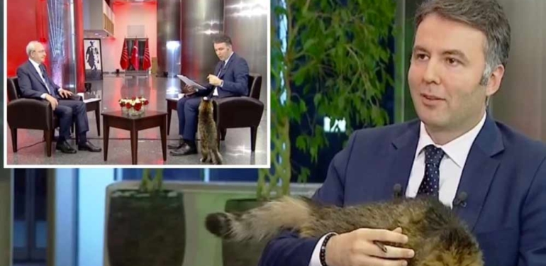 Mehmet Akif Ersoy’un zor anları: CHP’nin kedisi canlı yayında kucağına zıpladı