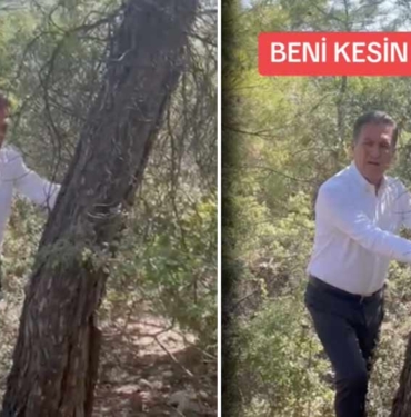 Mustafa Sarıgül’den Akbelen direnişine destek: Ağaçları keseceğinize beni kesin beni 7 Mustafa-Sarıgül’den-Akbelen-direnişine-destek--Ağaçları-keseceğinize-beni-kesin-beni
