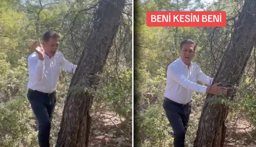 Mustafa Sarıgül’den Akbelen direnişine destek: Ağaçları keseceğinize beni kesin beni