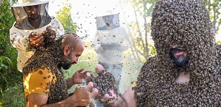 Vanlı “Arı adam” Guinness Rekorlar Kitabı’na girebilmek için üzerine yüzbinlerce arı topladı