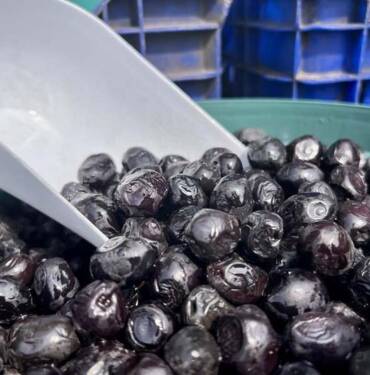 Evdeki zeytin çekirdeklerinizi atmayın! Zeytin çekirdekleriyle harikalar yaratın... 2 646b2b5c50acca35a051f5fa