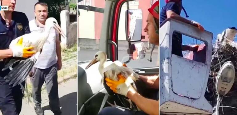 Sivas’ta yuvasından düşen leylek yavrusunu itfaiye kurtardı