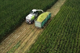 Tarım ÜFE temmuzda arttı aylık bazda yüzde 8,03, yıllık yüzde 62,48