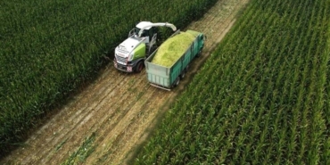 Tarım ÜFE temmuzda arttı aylık bazda yüzde 8,03, yıllık yüzde 62,48