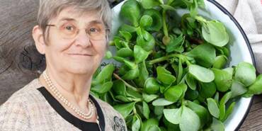 Canan-Karatay-ısrarla-önerdi!-Sofranızdan-eksik-etmeyin--Doğanın-şifalı-hazinesi-semiz-otu