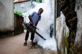 Dang humması salgını Bangladeş'te büyüyor, ölü sayısı 618'e yükseldi 3 Dang-humması-salgını-Bangladeş'te-büyüyor,-ölü-sayısı-618'e-yükseldi