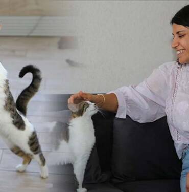 Diyarbakırlı öğretmenden yürekleri ısıtan sevgi: Sahiplendiği 3'ü engelli 8 kediye şefkatle bakıyor 10 Diyarbakırlı-öğretmenden-yürekleri-ısıtan-sevgi--Sahiplendiği-3'ü-engelli-8-kediye-şefkatle-bakıyor