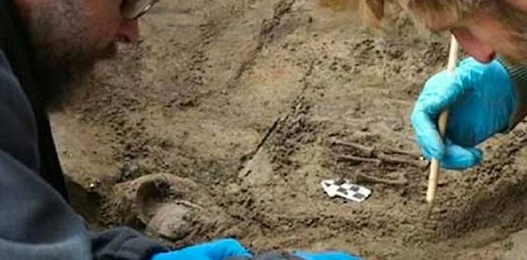 Evrime ışık tutacak keşif! Çin’de bulunan gizemli dinozor fosili bilim insanlarını hayrete düşürdü