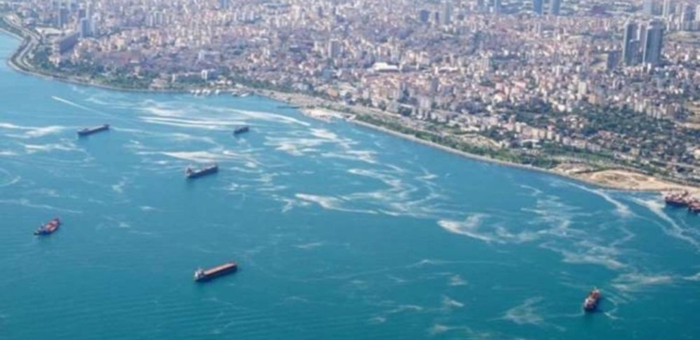 Marmara Denizi'nde sonuçlar ürkütücü: Sıcaklık artıyor, oksijen azalıyor 1 Marmara Denizi