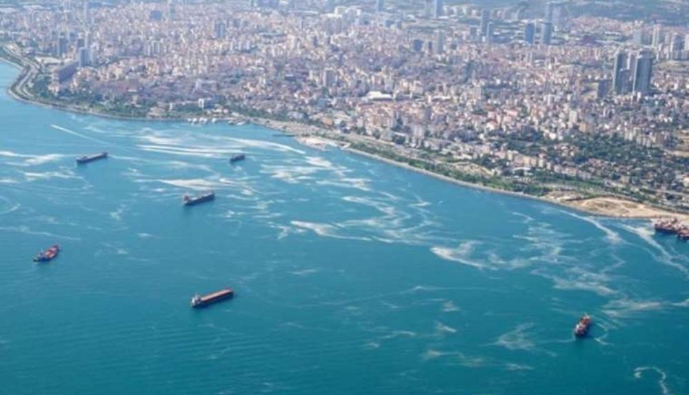 Marmara Denizi'nde sonuçlar ürkütücü: Sıcaklık artıyor, oksijen azalıyor
