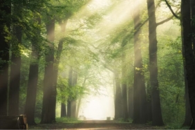 9 bilim insanı: "Evrendeki her şeyin evrimini açıklayan, kayıp doğa yasasını bulduk" 7 9 bilim insanı Evrendeki her şeyin evrimini açıklayan, kayıp doğa yasasını bulduk