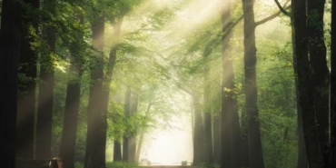 9 bilim insanı Evrendeki her şeyin evrimini açıklayan, kayıp doğa yasasını bulduk