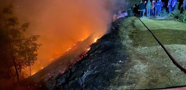 Muğla’da orman yangını başladı