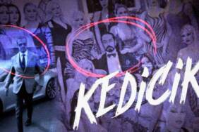 Yayından-kaldırılmıştı!-'Telif'-sorunu-çözüldü...-Kedicik-belgeseli-yeniden-yayında!