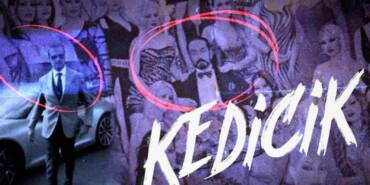 Yayından-kaldırılmıştı!-'Telif'-sorunu-çözüldü...-Kedicik-belgeseli-yeniden-yayında!