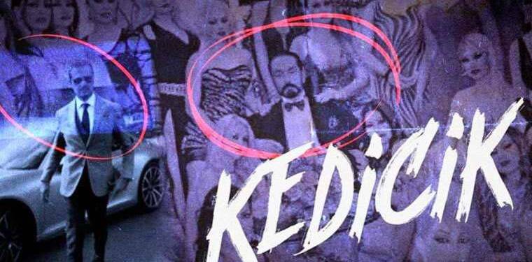 Yayından kaldırılmıştı! ‘Telif’ sorunu çözüldü… Kedicik belgeseli yeniden yayında!