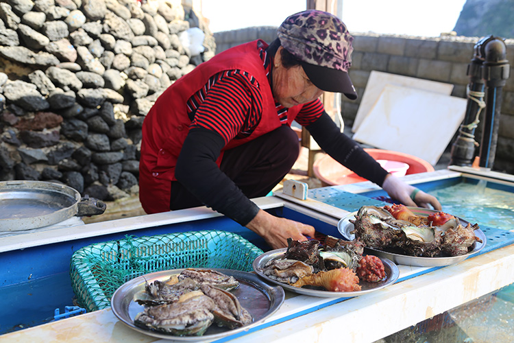 Güney Kore'nin 80 yaş üstü "deniz kadınları" geçimlerini derin sulara dalarak sağlıyor