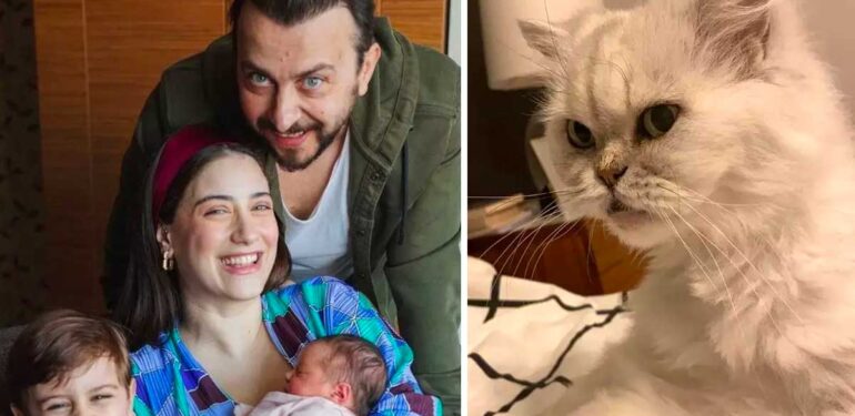 Hazal Kaya’dan kedisi ‘Leyla’ya duygulandıran veda: “Benim güzel kızım, 12 yıllık ev arkadaşım…”