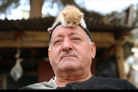 Kedi sevgisi müteahhitlerin tekliflerine dur dedirtti