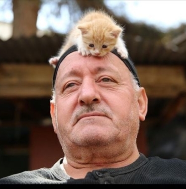 Kedi sevgisi müteahhitlerin tekliflerine "dur" dedirtti 10 Kedi sevgisi müteahhitlerin tekliflerine dur dedirtti