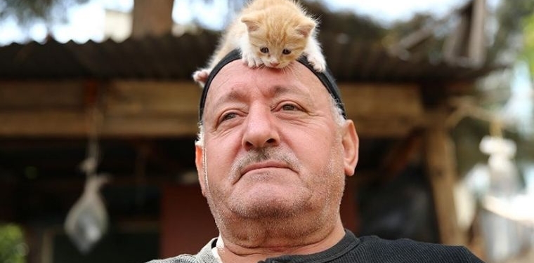 Kedi sevgisi müteahhitlerin tekliflerine “dur” dedirtti