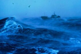 Dünyanın-en-büyük-canlısı,-4.500-yıldır-denizin-altında-yaşıyor