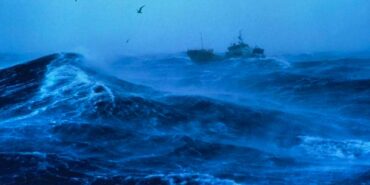 Dünyanın-en-büyük-canlısı,-4.500-yıldır-denizin-altında-yaşıyor