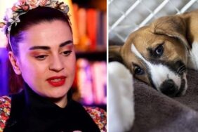 Ceylan-Ertem'den-Meclis'ten-geçen-'katliam-yasası'na-sert-tepki