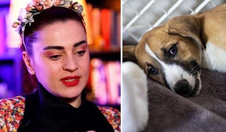 Ceylan Ertem’den Meclis’ten geçen ‘katliam yasası’na sert tepki: ‘Bedenimi çiğnemeleri lâzım…’