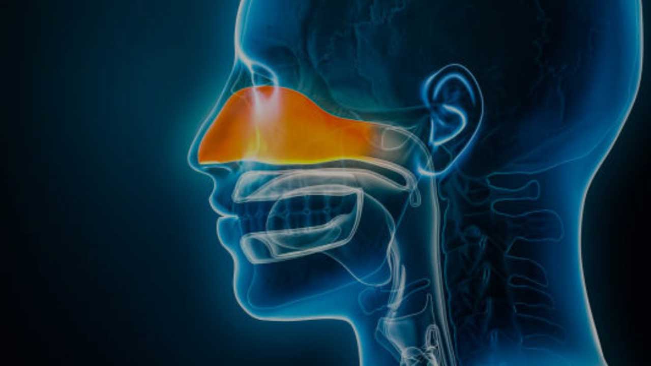 Sinüzit sorunu artık baş ağrıtmayacak... İşte sinüzit için doğal çözümler