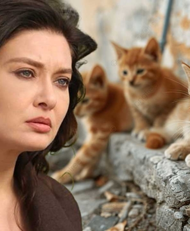 Site yönetiminin 'sokak kedileri' kararı Nurgül Yeşilçay'ı kızdırdı: "Ha bir de böyle dertsiz insan derdi var!" 4 nurgul-yesilcay