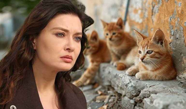 Site yönetiminin ‘sokak kedileri’ kararı Nurgül Yeşilçay’ı kızdırdı: “Ha bir de böyle dertsiz insan derdi var!”