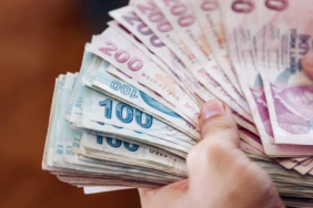 TESK Başkanı Palandöken'den çağrı: 'Daha fazla beklemeden esnafın prim günü 7 bin 200'e indirilmeli' 3 para-turk-lirasi