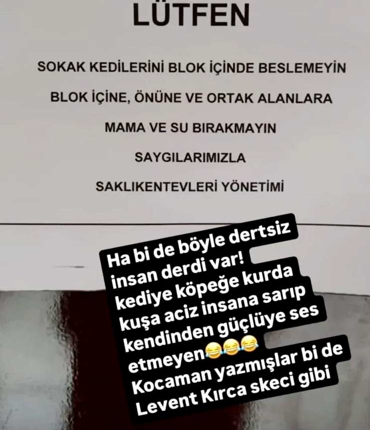 Site yönetiminin 'sokak kedileri' kararı Nurgül Yeşilçay'ı kızdırdı: "Ha bir de böyle dertsiz insan derdi var!"