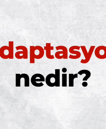 Adaptasyon nedir, TDK sözlük anlamı ne demek? Adaptasyonun önemi ve çeşitleri nelerdir? 3 Adaptasyon