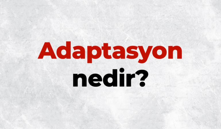 Adaptasyon nedir, TDK sözlük anlamı ne demek? Adaptasyonun önemi ve çeşitleri nelerdir?