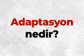 Adaptasyon-nedir